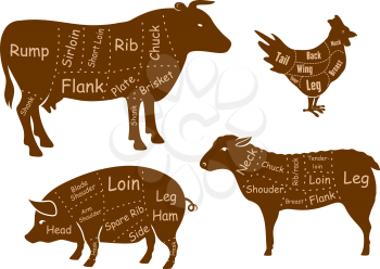 Beef, pork, chicken and lamb meat cuts diagram with brown silhouettes of farm animals with marked parts and cutting lines isolated on white background, for butcher shop or food design