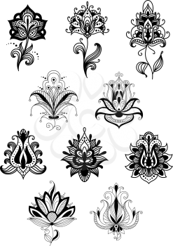 Indian black floral design elements with lacy flowers with teardrop shaped petals and pointed leaves, adorned by  paisley ornament on white background