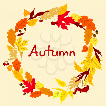 Colorful autumn leaves decorative circular frame with viburnum fruits, acorns and text Autumn
