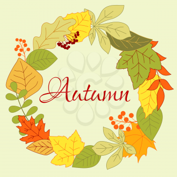 Autumnal foliage round frame with orange, yellow and green leaves, viburnum berries and shrub seeds