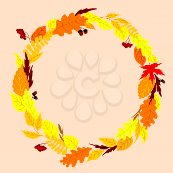Autumn frame design with colorful fallen leaves arranged in a round wreath with viburnum bunches, acorns and herb spikelets on background with center copyspace 