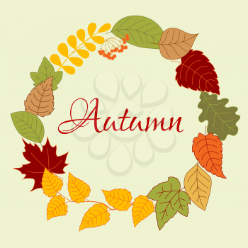 Wreath frame of autumn leaves arranged in a round border with colorful leaves, branches of birch and acacia  and bunch of rowan fruits