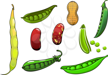 Cartoon fresh legumes and vegetables with peas in a pod, long and red beans, peanut