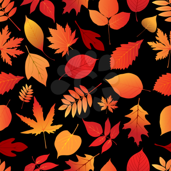 Colorful autumn leaves seamless pattern with red, orange and yellow foliage