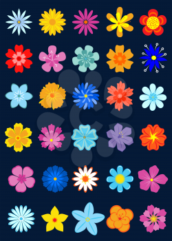 Top view of bright spring flower buds or blossoms isolated on dark background for embellishment and decorations
