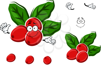 Ripe red berries of arabica coffee beans cartoon character with fresh green leaves, isolated on white