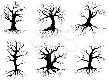 Different black leafless deciduous winter tree silhouettes with roots, isolated on white