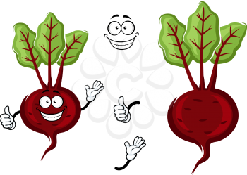 Happy little cartoon beetroot with fresh green leaves and waving arms, isolated on white