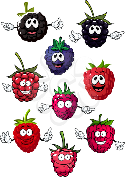 Funny cartoon ripe red strawberry, blue blueberry and black blackberry fruits characters isolated on white background