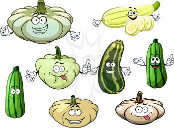 Happy cartoon zucchini, marrows and squashes vegetables, isolated on white. for agriculture and healthy food themes