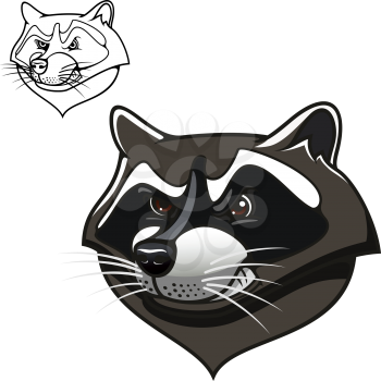Angry cartoon gray raccoon with bared teeth, including outline variant in upper corner, for sports mascot or tattoo design