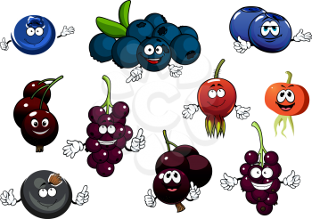 Healthful fresh black currant, blueberry and red briar fruits cartoon characters with funny smiling faces