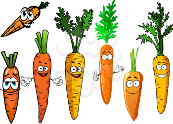 Funny orange carrot vegetables cartoon characters with curly green leaves and smiling faces, for agriculture harvest and vegetarian food design