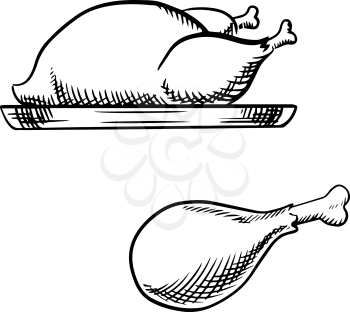 Whole roasted chicken or turkey on tray and fried chicken leg, for food themes design. Sketch icons