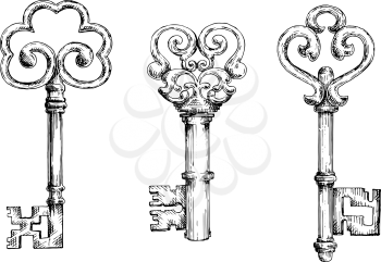 Vintage decorative keys with ornamental bows, adorned by swirls and forged elements. Sketch style