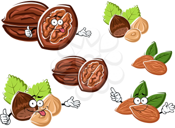 Funny walnut, almond and hazelnut cartoon characters with raw nuts and dry kernels. For healthy food or snack design