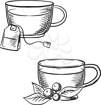 Cups of hot tea with teabag and cowberry branch with fruits and leaves. Sketch images for food and drinks theme