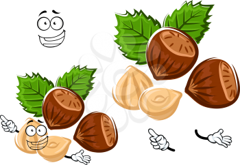 Healthful happy hazelnut cartoon character with brown nuts, shelled kernel and carved green leaves, isolated on white
