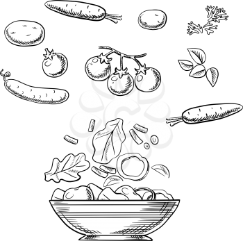 Cooking vegetarian salad sketch with fresh cherry tomatoes, carrots, cucumber, potatoes, spicy herbs and wide bowl with sliced ingredients. For recipe book or menu design