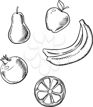 Fresh and juicy apple, pear, slice of lemon, bunch of banana and pomegranate fruits. Sketch icons for healthy food or agriculture design