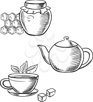 Cup of tea with fresh tea leaves and sugar cubes, retro teapot and glass jar of honey with honeycomb. Sketch icons for food and drink or healthy breakfast theme