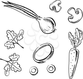 Sweet crunchy carrot, spicy onion with sprouted leaves vegetables, sliced mushrooms and parsley stems. Sketch icons for healthy vegetarian food themes design