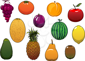 Sweet fresh cartoon orange, apple, grape, watermelon, pineapple, lemon, avocado, melon, kiwi, plum, apricot, pear fruits, for agriculture or dessert design