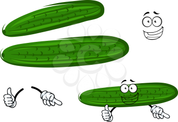 Bright green crunchy juicy cucumber vegetable cartoon character giving thumb up sign, for agriculture harvest themes design