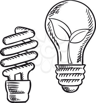 Sketch of fluorescent energy saving light bulb and old incandescent lamp with plant inside. Save energy concept