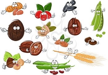 Isolated peanuts, roasted and fresh coffee beans, coconut, hazelnuts, pistachios, almonds, walnuts, sweet pea, beans, sunflower seeds and wheat ears characters. For food or agriculture design