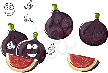 Fresh ripe and sweet purple fig fruits cartoon character with crunchy seeds and fibrous pink flesh on the cut. Happy smiling fruits for agriculture or healthy vegetarian dessert design 