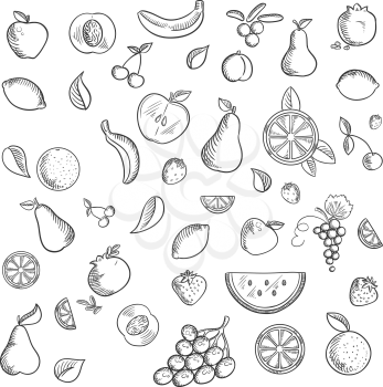 Fruits and berries sketched icons with whole and sliced apples, bananas, pears, apricots, pomegranates lemons oranges cherries grapes, strawberries, cranberries and watermelon. Sketch style