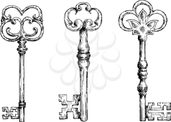 Isolated medieval forged keys with bows, decorated by victorian lily elements and ornate by flourishes. Sketch style objects