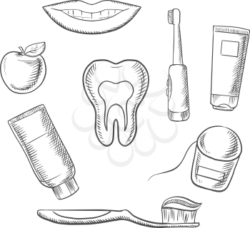 Dental hygiene medical icons with cross section of healthy tooth surrounded by toothbrush, toothy smile, apple, toothpaste and floss. Sketch style