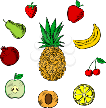 Colorful fresh fruits icons in sketch style with tropical pineapple,  surrounded with green and red apples, orange, apricot, bananas, pear, pomegranate, strawberry and cherry