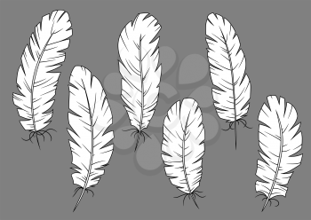 Airy white fluffy birds feathers for preparation quill pens. Isolated icons for education symbol, history or art design usage