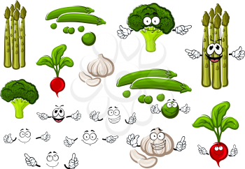 Healthful cartoon fresh green pea pods with sweet grains, spicy garlic, curly broccoli, pungent red radish and asparagus. Funny vegetables and separate smiling faces