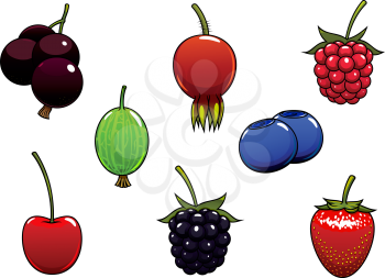 Sweet ripe strawberry, blackberry, raspberry, cherry, black currant, blueberry, gooseberry and briar fruits berries isolated on white background