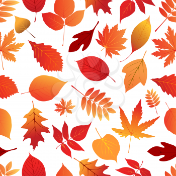 Autumn red and orange leaves seamless pattern for seasonal or holiday design