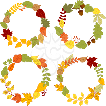 Autumn wreaths composed with colorful tree branches, fall and clover leaves, dry acorns, orange rowanberry bunches and forest berries