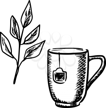 Sketch mug of tea made with a teabag with a twig of fresh tea leaves, isolated on white