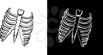 X-Ray and skeleton of human rib cage with ribs and part of spine in outline sketch style, for healthcare concept design