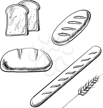 Toast bread slices, long loaves and french baguette with wheat spikelet isolated on white background. Outline sketch style icons