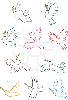 Flying doves with green olive tree branches isolated on white background. Peace conceptual icons, for religion or freedom design