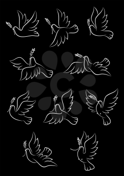 Graceful flying doves with olive tree branches icons set, for peace or religion theme