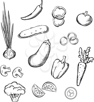 Fresh healthful tomato, carrot, cucumber, eggplant, onion, mushroom, chilli, bell peppers and broccoli vegetables. Sketch icons for vegetarian food, recipe book or agriculture design