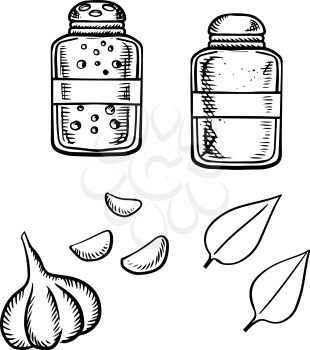 Salt and pepper shakers, fresh garlic vegetable with gloves and basil leaves sketch icons. For food or spices theme design