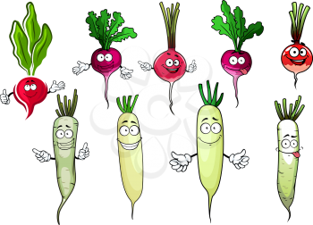Juicy cartoon red and purple radish and white daikon vegetables with fresh green leaves and funny curly tips. Recipe book, agriculture or vegetarian food design usage