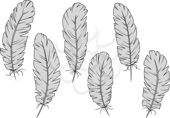 Gray quill feathers isolated on white. For education, writing, tattoo and embellishment design
