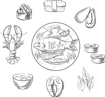 Delicious seafood design with sketched caviar, sushi, mussels, seaweed, red fish, salmon, sauce and lobster. Sketch style vector